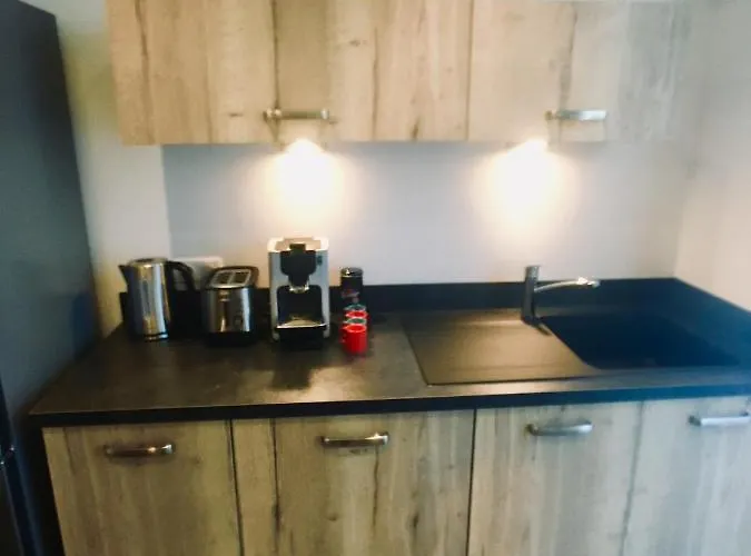 Louis Quartier Centre 公寓